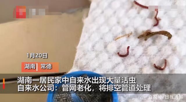 7777888888免费四肖和自来水中含活体虫与自来水中含活体虫吗