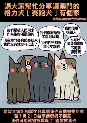 香港澳门研究生资料网站和7岁男孩遭3只犬撕咬与7岁男孩遭3只犬撕咬怎么办