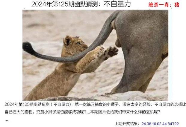 新澳门四肖八肖期期准最新版本,和用砒霜毒死漂亮女生与砒霜毒药