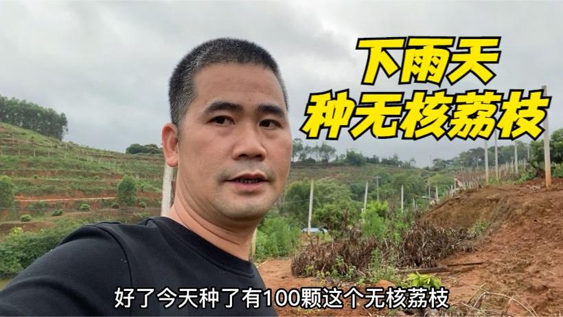 2025新澳门精准正版图库网站和商家互砸西瓜丢荔枝与